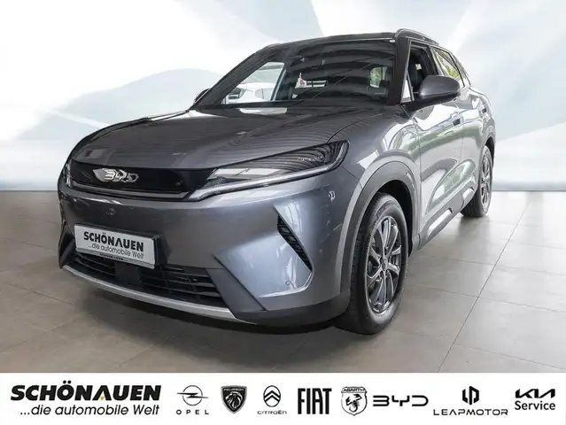 BYD Sonstige