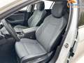 Volkswagen Passat Variant Elegance ***NEUES MODELL 2024*** 2.0 TDI EVO SC... - thumbnail 11