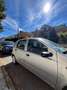 Fiat Punto Punto 5p 1.2 natural power Classic Grigio - thumbnail 4