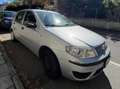 Fiat Punto Punto 5p 1.2 natural power Classic Grigio - thumbnail 3