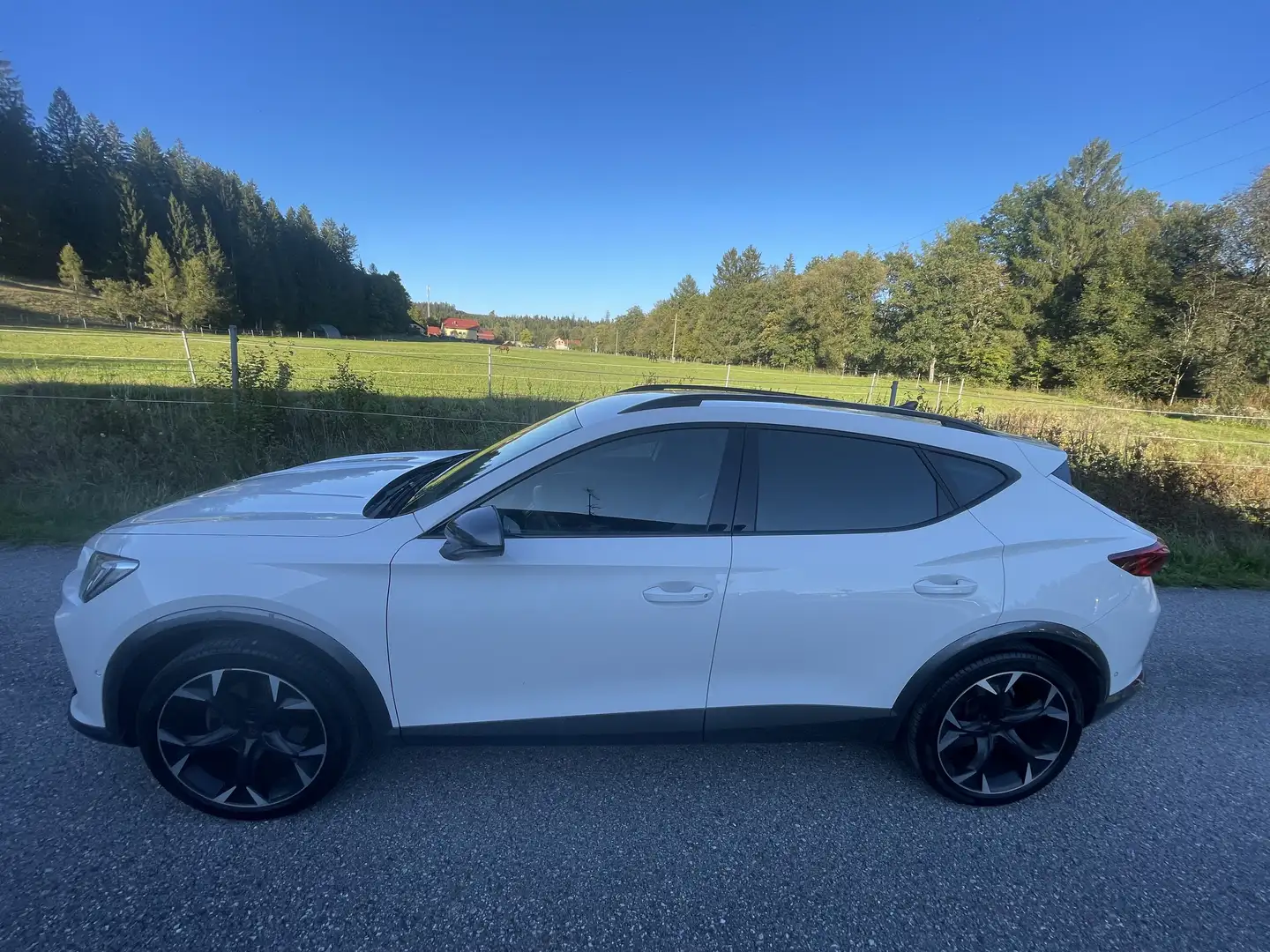 CUPRA Formentor Formentor 1,5 TSI ACT Cupra Cupra Weiß - 2