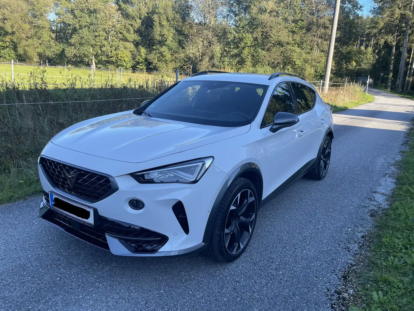 CUPRA Formentor Formentor 1,5 TSI ACT Cupra Cupra Weiß - 1