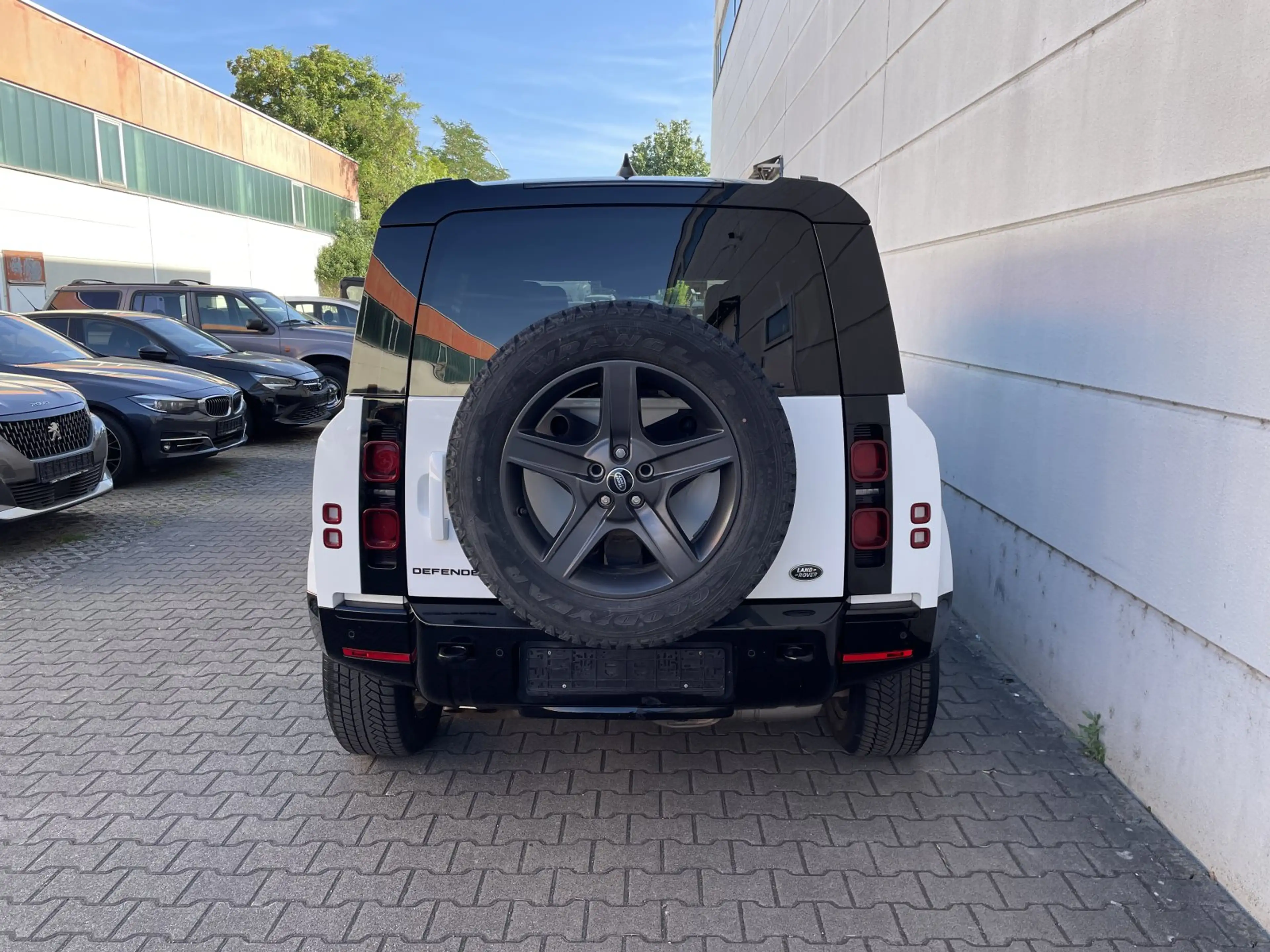 Land Rover Defender 110 D250 3.0 Mild-Hybrid X-Dynamic SE — photo 9