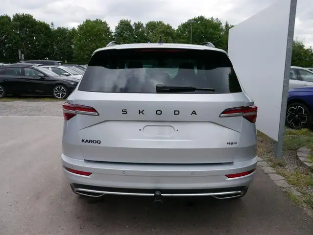 Skoda Karoq view 2