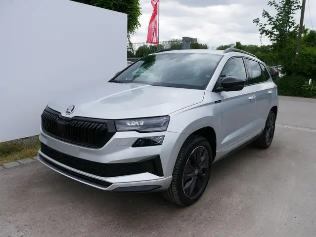 Skoda Karoq main image