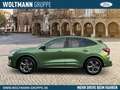 Ford Kuga ST-Line X 1.5 EcoBoost 150PS Navi B&O LED 360°-Kam Grün - thumbnail 3