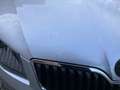 Skoda Octavia Octavia SW 2.0 CR TDi Elegance Zilver - thumbnail 9
