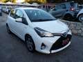 Toyota Yaris 1.5h Active ..QUALSIASI PROVA..BLUETOOTH.. Blanc - thumbnail 4