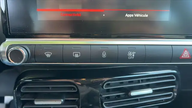 Citroen C4 Cactus view 13