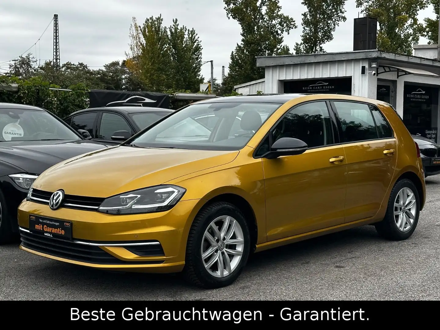 Volkswagen Golf 1.0 TSI Sound * NAVI * LED * 1 HAND * TOP * Gelb - 2