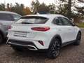 Kia XCeed 1.5T DCT7 VISION KOMFORT Weiß - thumbnail 2