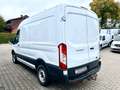 Ford Transit Kasten FT 350 L2/H2 / AHK Blanc - thumbnail 3