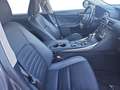 Lexus IS 300 300h Luxury Grau - thumbnail 12