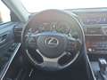 Lexus IS 300 300h Luxury Grau - thumbnail 10