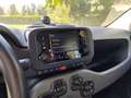 Fiat Panda 1.0 firefly hybrid City Life s&s 70cv 5p.ti - thumbnail 7