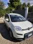 Fiat Panda 1.0 firefly hybrid City Life s&s 70cv 5p.ti - thumbnail 1