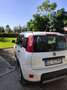 Fiat Panda 1.0 firefly hybrid City Life s&s 70cv 5p.ti - thumbnail 3