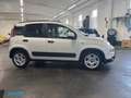 Fiat Panda 1.0 firefly hybrid City Life Blanco - thumbnail 6