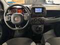 Fiat Panda 1.0 firefly hybrid City Life Blanco - thumbnail 10