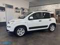Fiat Panda 1.0 firefly hybrid City Life Blanco - thumbnail 8