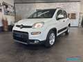 Fiat Panda 1.0 firefly hybrid City Life Blanco - thumbnail 1
