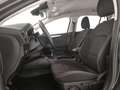 Ford Focus 1.5 EcoBlue 120 CV SW Business Grigio - thumbnail 5