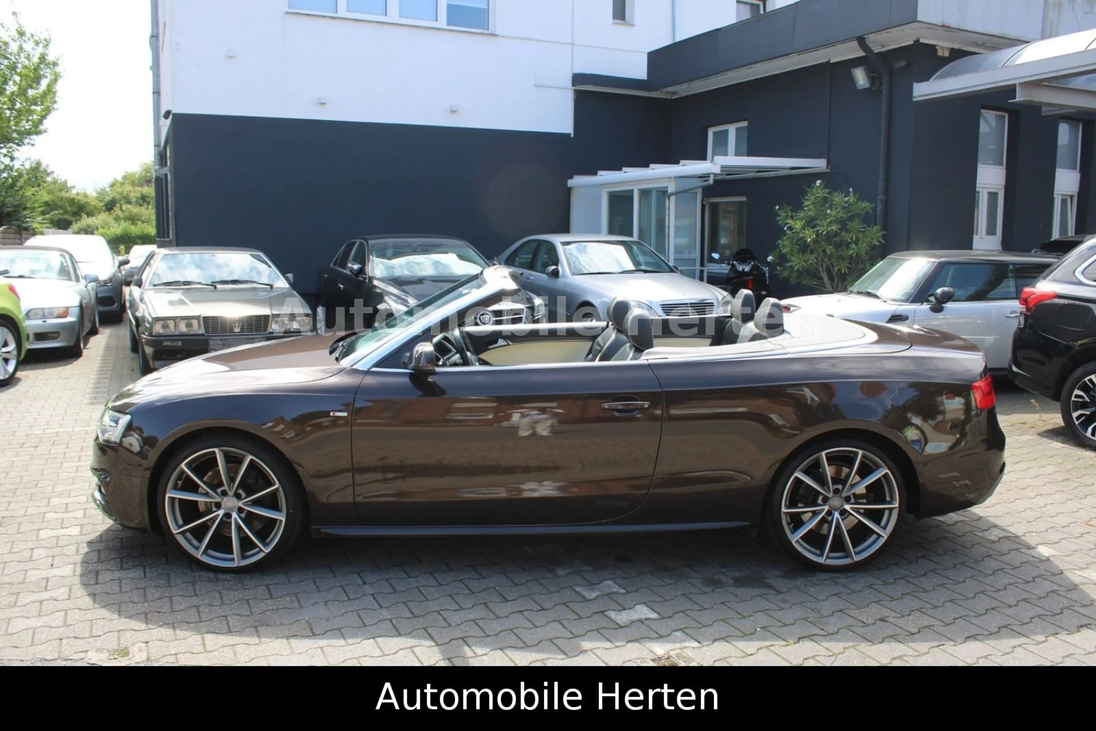 Audi A5 Cabriolet 3.0 TDI QUATTRO*S-LINE+*ACC*VOLL* — photo 7
