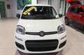 Fiat Panda 1.0 FireFly S&S Hybrid Icon Weiß - thumbnail 2