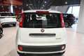 Fiat Panda 1.0 FireFly S&S Hybrid Icon Weiß - thumbnail 6