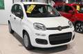 Fiat Panda 1.0 FireFly S&S Hybrid Icon Weiß - thumbnail 3