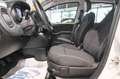 Fiat Panda 1.0 FireFly S&S Hybrid Icon Weiß - thumbnail 11
