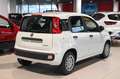 Fiat Panda 1.0 FireFly S&S Hybrid Icon Weiß - thumbnail 5