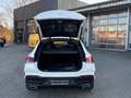Mercedes-Benz GLE 400 d 4M Coupe AMG Airmatic Panorama AHK Blanc - thumbnail 16
