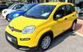 Fiat Panda 1.0 FireFly S&S Hybrid Giallo - thumbnail 1