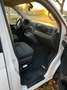 Volkswagen T6 California California Beach - 205 PS - 4Motion - NEUER MOTOR Weiß - thumbnail 16