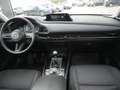 Mazda CX-30 SKYACTIV-G 2.0 M Hybrid PDC ACC HUD LED Rot - thumbnail 16