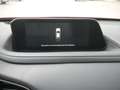 Mazda CX-30 SKYACTIV-G 2.0 M Hybrid PDC ACC HUD LED Rot - thumbnail 10