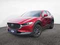 Mazda CX-30 SKYACTIV-G 2.0 M Hybrid PDC ACC HUD LED Rot - thumbnail 1