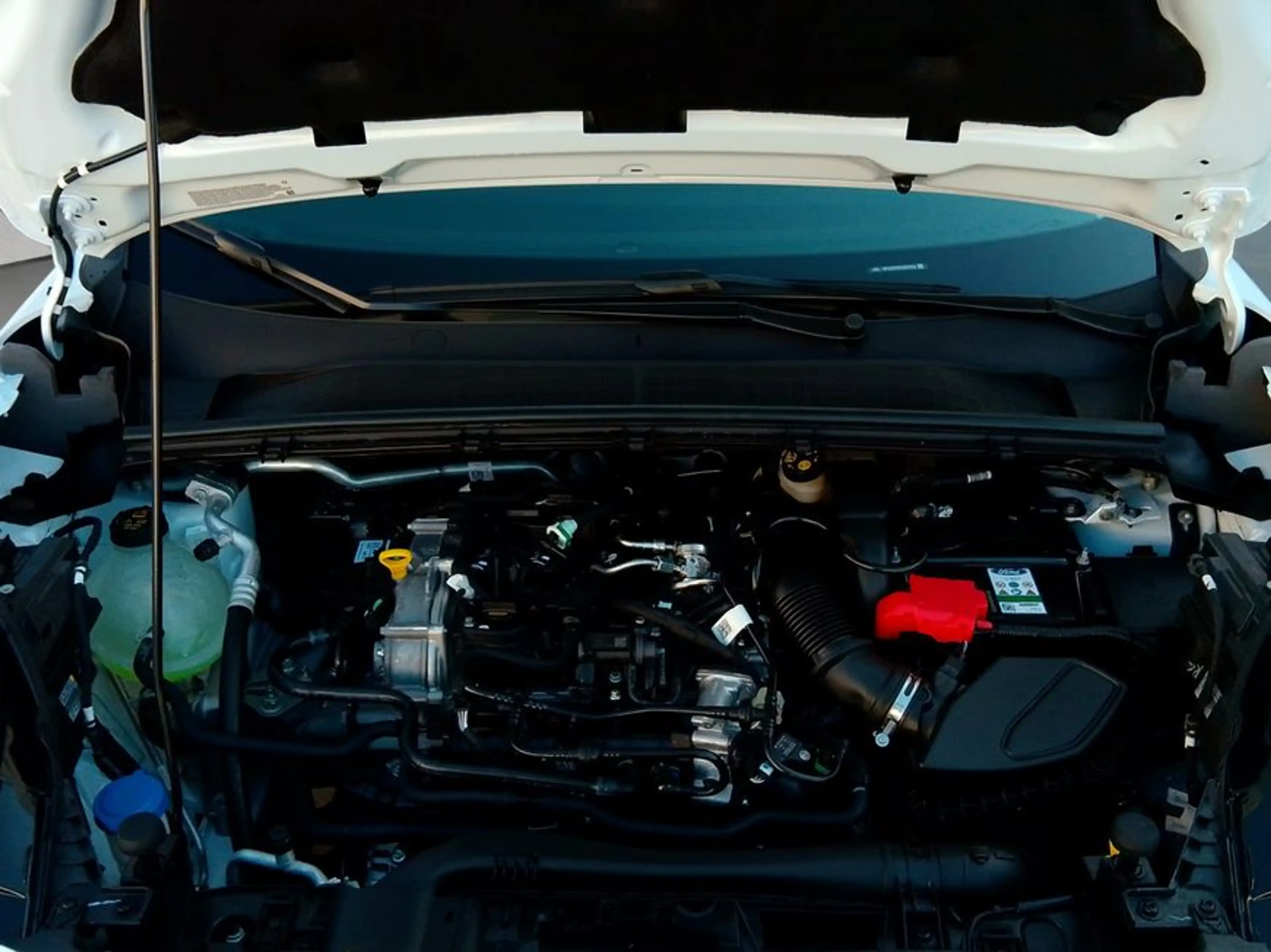 Ford Puma 1.0 EcoBoost Hybrid TITANIUM — photo 22
