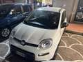 Fiat Panda 1.0 firefly hybrid s&s 70cv 5p.ti senza vincoli Grigio - thumbnail 2