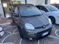 Fiat Panda 1.0 firefly hybrid s&s 70cv 5p.ti CityLife Grigio - thumbnail 3