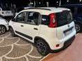 Fiat Panda 1.0 firefly hybrid s&s 70cv 5p.ti senza vincoli Grigio - thumbnail 5