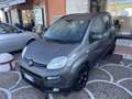 Fiat Panda 1.0 firefly hybrid s&s 70cv 5p.ti CityLife Grigio - thumbnail 2