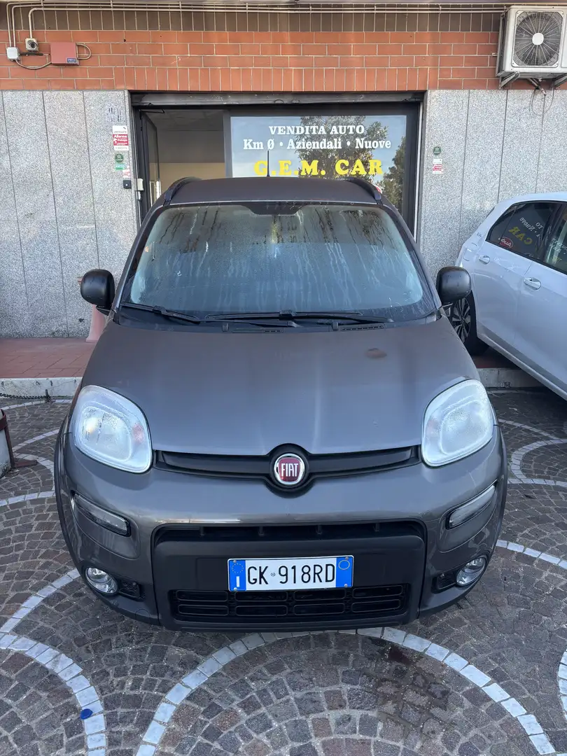 Fiat Panda 1.0 firefly hybrid s&s 70cv 5p.ti CityLife Grigio - 1