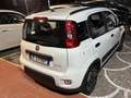 Fiat Panda 1.0 firefly hybrid s&s 70cv 5p.ti senza vincoli Grigio - thumbnail 4