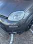Fiat Panda 1.0 firefly hybrid s&s 70cv 5p.ti CityLife Grigio - thumbnail 15