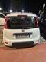 Fiat Panda 1.0 firefly hybrid s&s 70cv 5p.ti senza vincoli Grigio - thumbnail 3