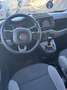 Fiat Panda 1.0 firefly hybrid s&s 70cv 5p.ti CityLife Grigio - thumbnail 9