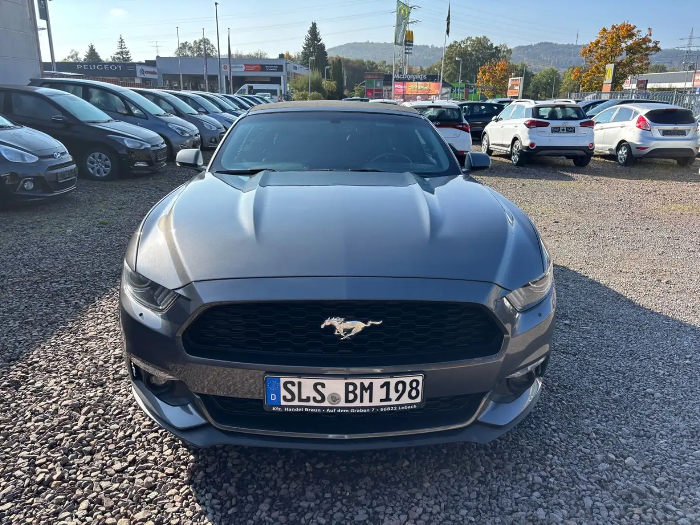 Ford Mustang Cabrio Grau - 1