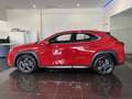 Lexus UX 300h + Rouge - thumbnail 5